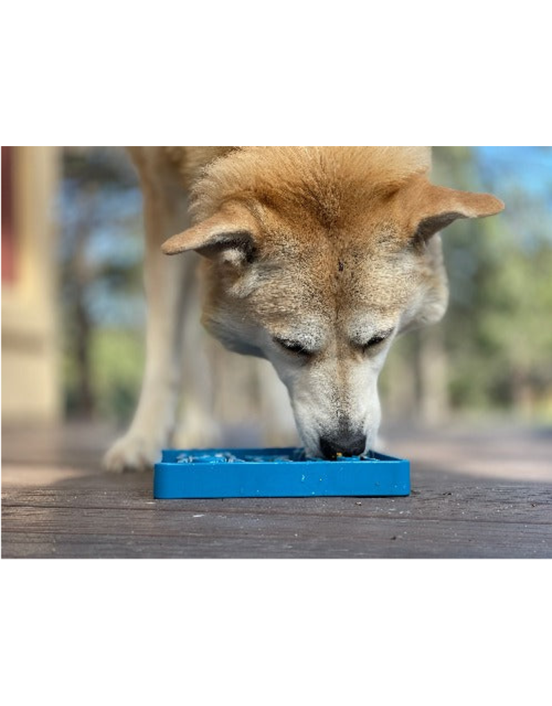 SodaPup SodaPup Enrichment Tray | Waiting Dog Blue