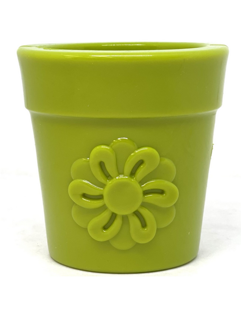 SodaPup SodaPup Enrichment Toys | Flower Pot Green