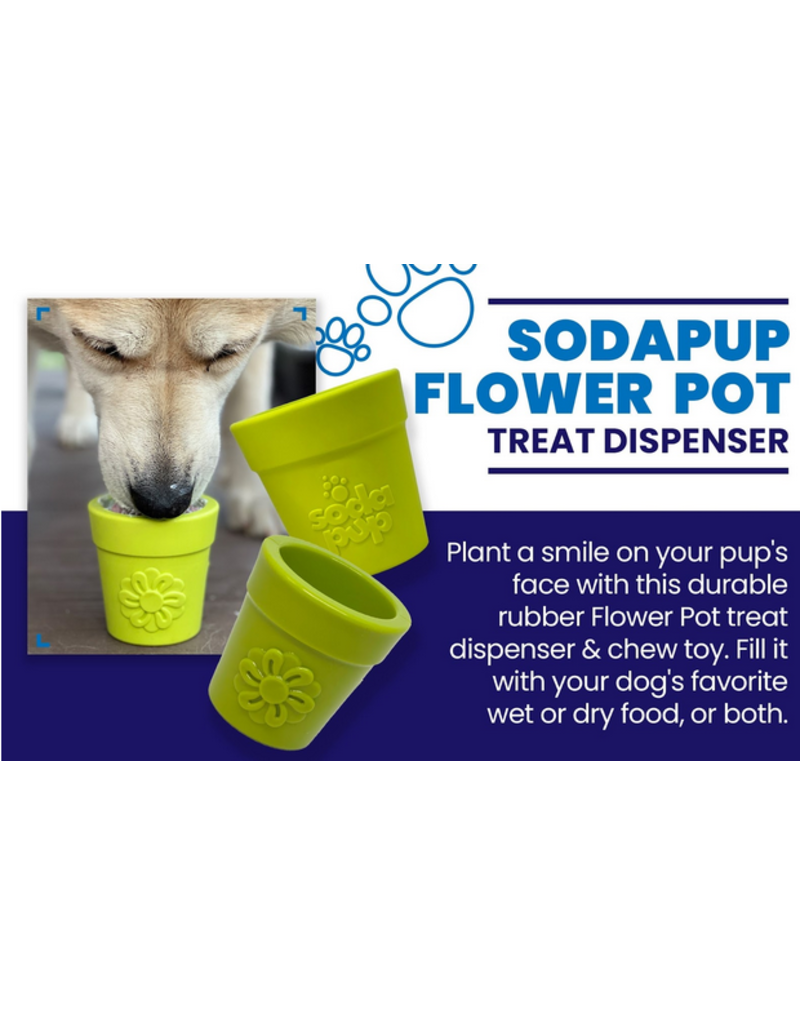 SodaPup SodaPup Enrichment Toys | Flower Pot Blue