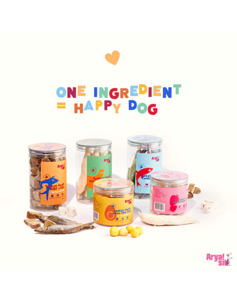 Arya Sit Arya Sit | Freeze-Dried Protein Mix 10 oz