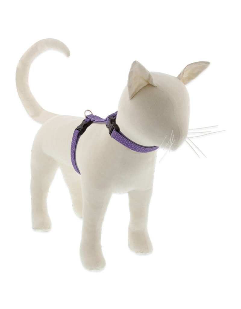 Lupine Lupine Eco Cat H-Harness | Lilac 12-20"