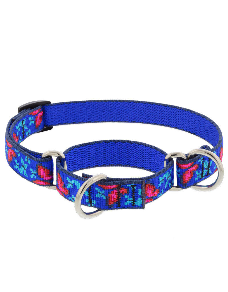 Lupine Lupine Originals 1" Martingale Dog Collar | Social Butterfly 15"-22"