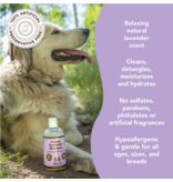 Natural Dog Company Natural Dog Company Shampoo | Calming Lavender 12 oz