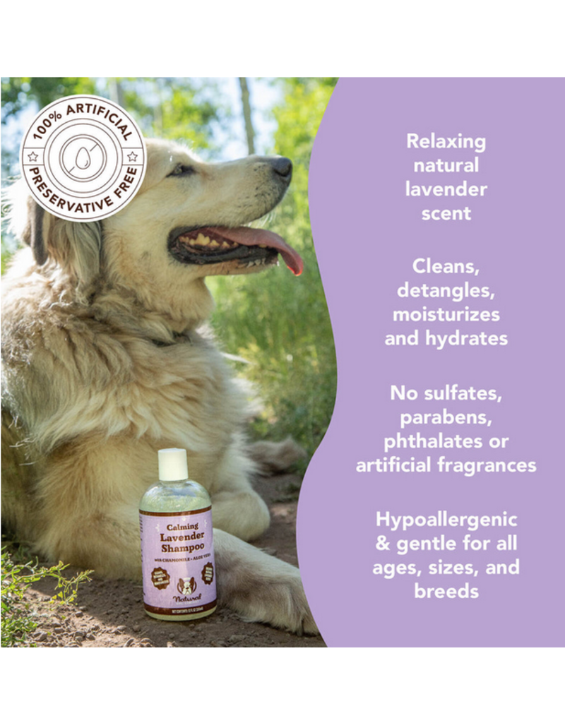 Natural Dog Company Natural Dog Company Shampoo | Calming Lavender 12 oz