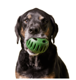 Woof Woof Pupsicle | Powerchewer Treat Dispenser Small