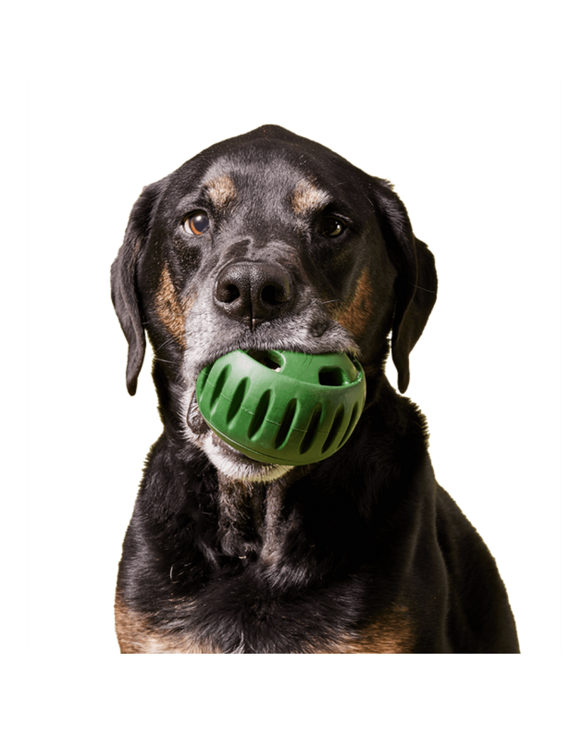 Woof Woof Pupsicle | Powerchewer Treat Dispenser Small
