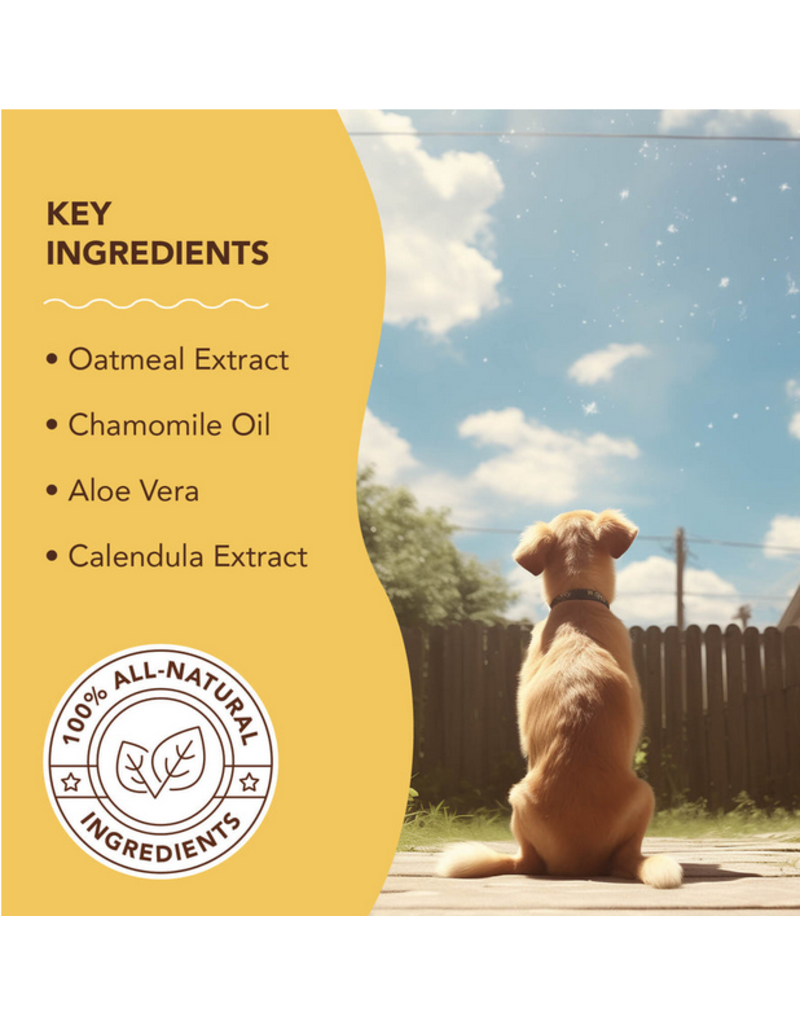 Natural Dog Company Natural Dog Company Spritz | Sensitive Skin Oatmeal 8 oz