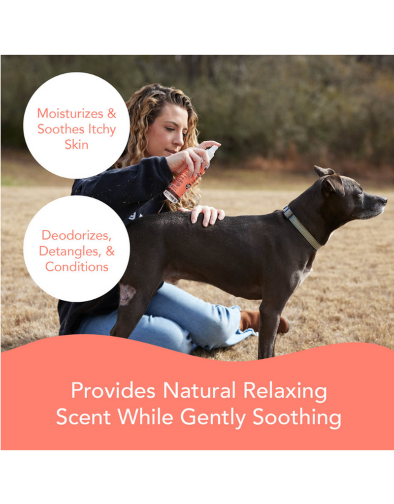 Natural Dog Company Natural Dog Company Spritz | Soothing Itchy Dog 8 oz