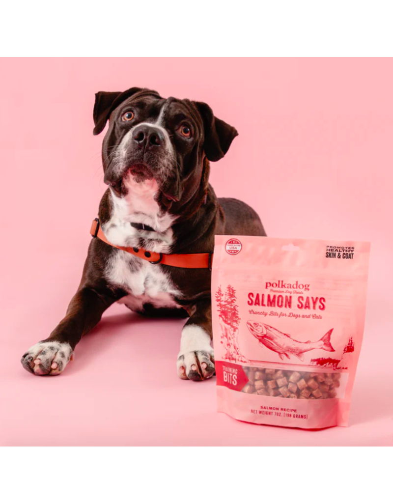 Polka Dog Bakery Polka Dog Bakery | Salmon Says Training Bites 7 oz