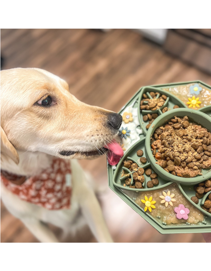 Pawsome Tails Pawsome Tails | Enrichment Feeder w/ Center Bowl Sage Green