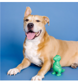 Pet Shop Pet Shop Fringe Studio Rubber Dog Toy | Dura Club "A T-Riffic Time" Treat Dispenser