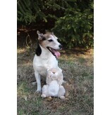 Tall Tails DISC/M Tall Tails Plush Dog Toys | Twitchy Squirrel 9 in