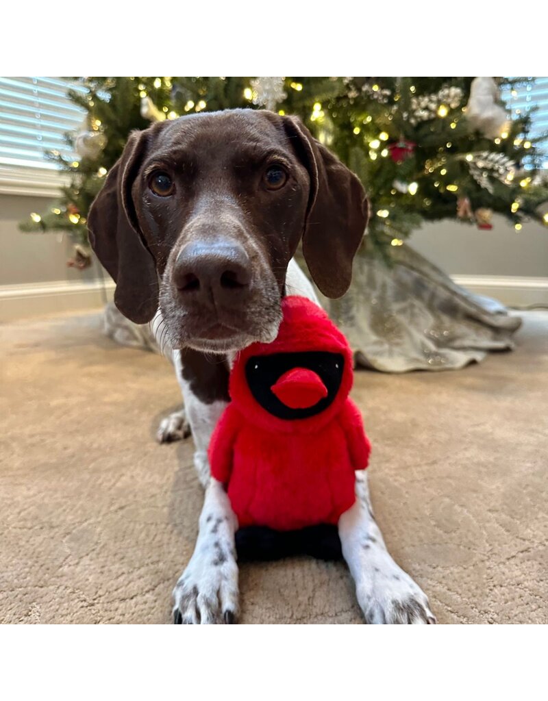 Tall Tails DISC/M Tall Tails Plush Dog Toys | Animated Cardinal 11 in