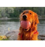 Tall Tails Tall Tails GOAT Dog Toys | 3" Orange Sport Ball Medium
