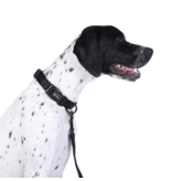 DOOG Gear DOOG Neosport | Solid Black Collar Extra Small (XS)