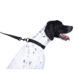 DOOG Gear DOOG Neosport | Solid Black Collar Medium