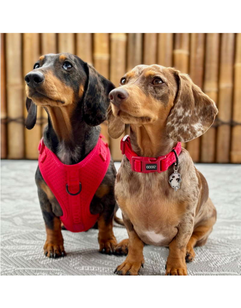 DOOG Gear DOOG Neosport | Solid Red Collar Medium