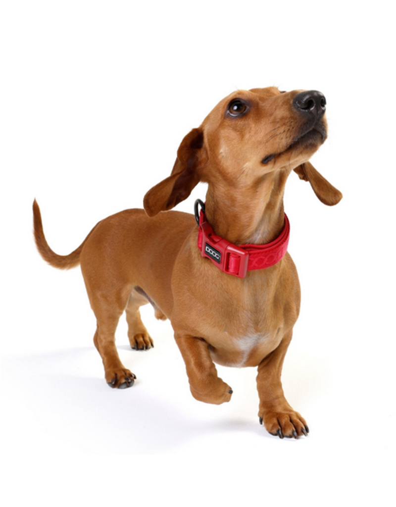 DOOG Gear DOOG Neosport | Solid Red Collar Medium