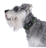 DOOG Gear DOOG Neosport | Solid Green Collar Medium