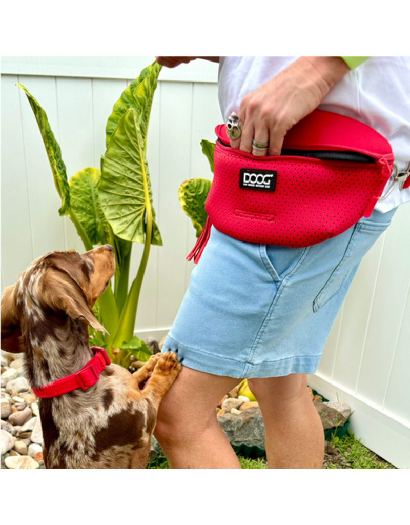 DOOG Gear DISC/D DOOG Neosport | Solid Red Collar Small
