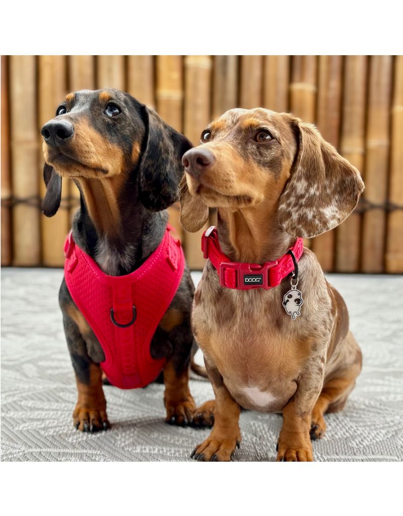 DOOG Gear DOOG Neosport | Solid Red Collar Small