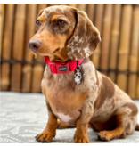 DOOG Gear DOOG Neosport | Solid Red Collar Small