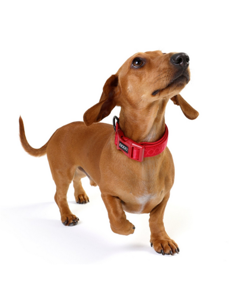 DOOG Gear DOOG Neosport | Solid Red Collar Small