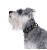 DOOG Gear DOOG Neosport | Solid Green Collar Extra Small (XS)