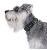 DOOG Gear DOOG Neosport | Solid Green Collar Extra Small (XS)