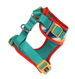 DOOG Gear DISC/D DOOG Neoflex Scout Harness | Red, Yellow & Blue Stripes Small