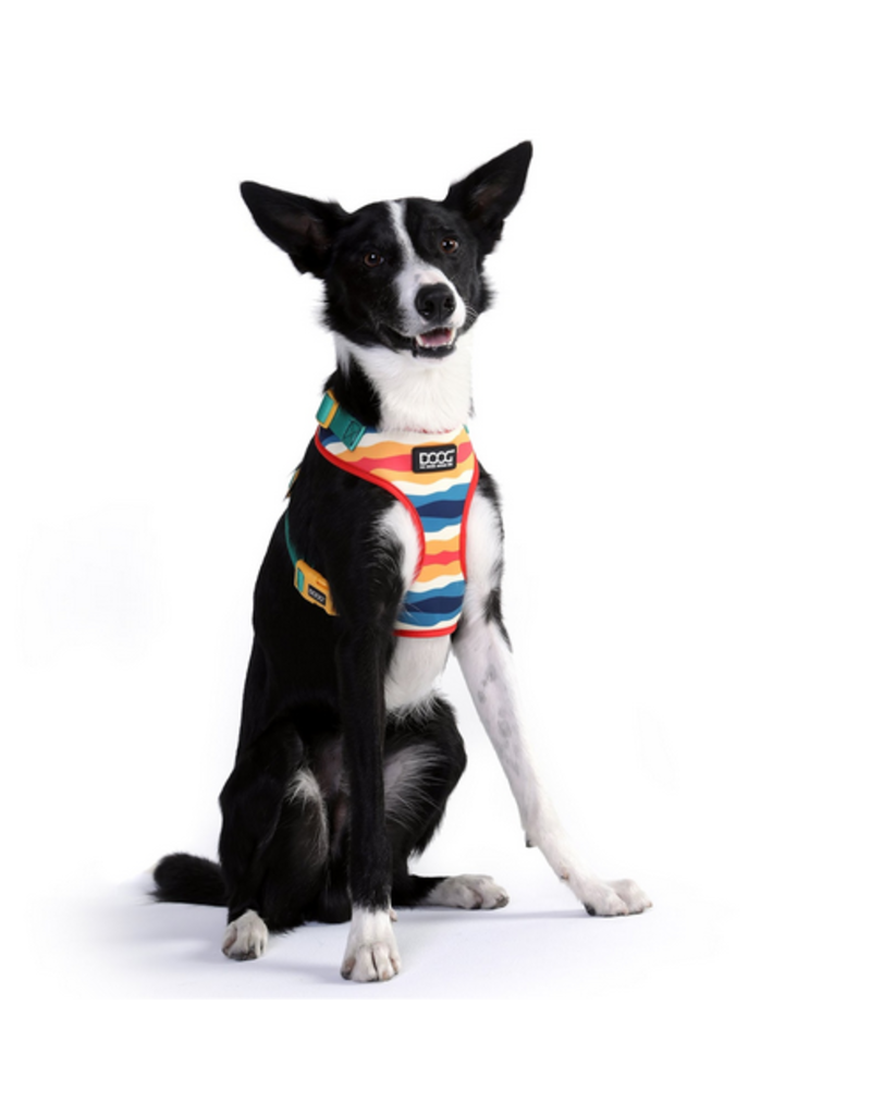 DOOG Gear DOOG Neoflex Scout Harness | Red, Yellow & Blue Stripes Medium