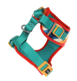 DOOG Gear DOOG Neoflex Scout Harness | Red, Yellow & Blue Stripes Large