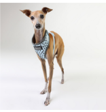 DOOG Gear DOOG Neoflex Dash Harness | Pale Blue with Grey Dots Small