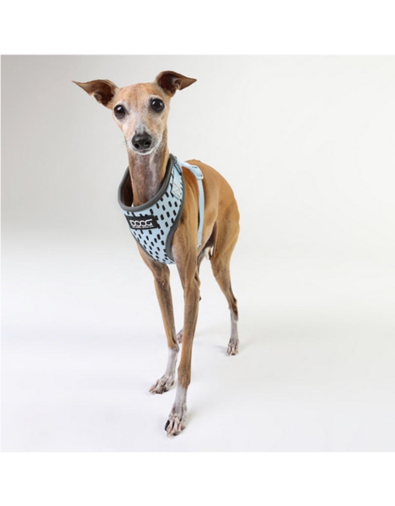 DOOG Gear DISC/D DOOG Neoflex Dash Harness | Pale Blue with Grey Dots Small