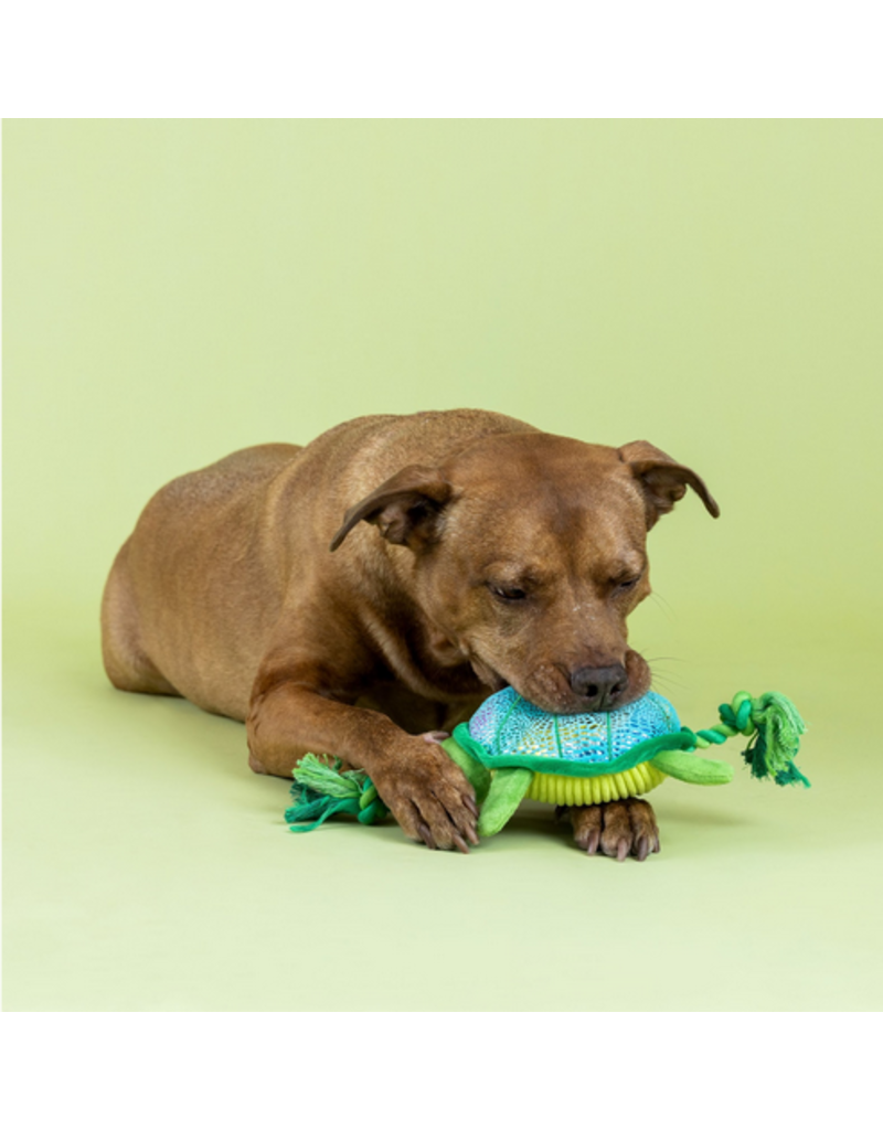 Pet Shop FringPet Shop Fringe Studio Plush Dog Toy | Shello There! Turtle