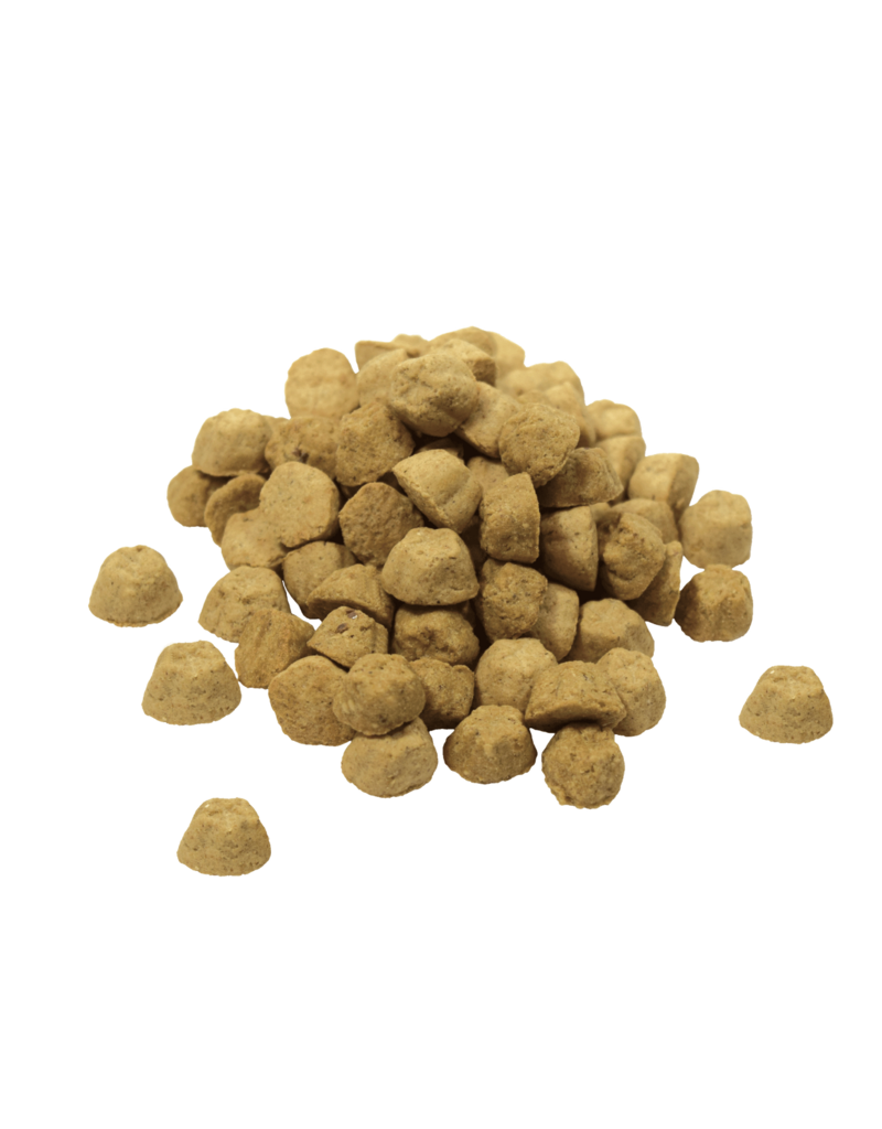 Lotus Natural Pet Food DISC/D Lotus Oven Baked Dog Kibble | Grain Free Lamb & Turkey Liver Recipe 10 lb