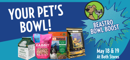 Beastro Bowl Boost: A Happier, Healthier, Longer Life for Your Pet!