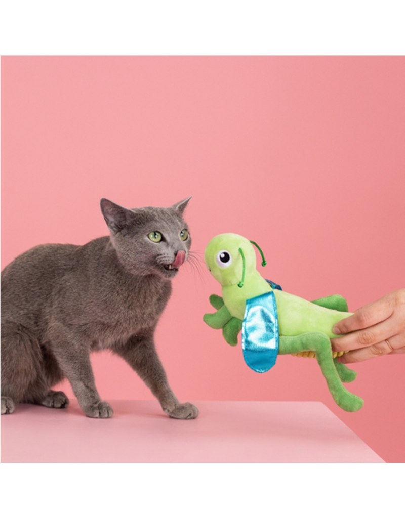 Pet Shop Pet Shop Fringe Studio Cat Toy Box | Hop On By Cricket Cat Kicker