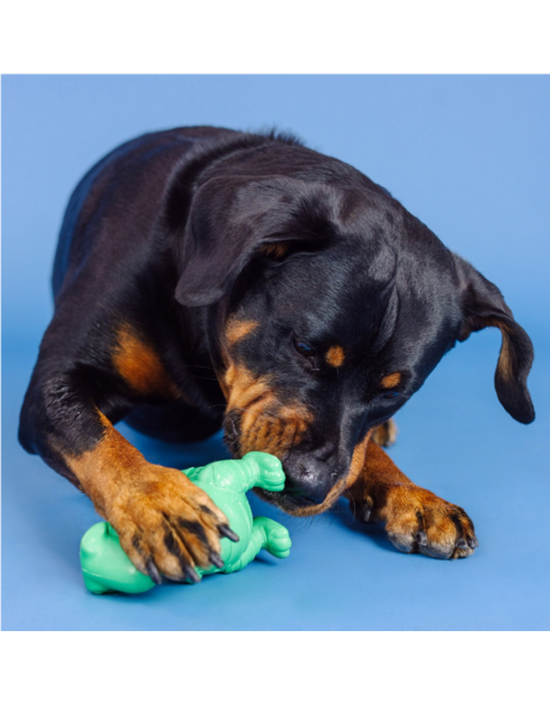 Pet Shop Pet Shop Fringe Studio Rubber Dog Toy | Dura Club "A T-Riffic Time" Treat Dispenser