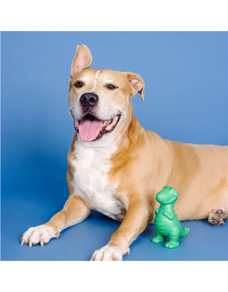 Pet Shop Pet Shop Fringe Studio Rubber Dog Toy | Dura Club "A T-Riffic Time" Treat Dispenser