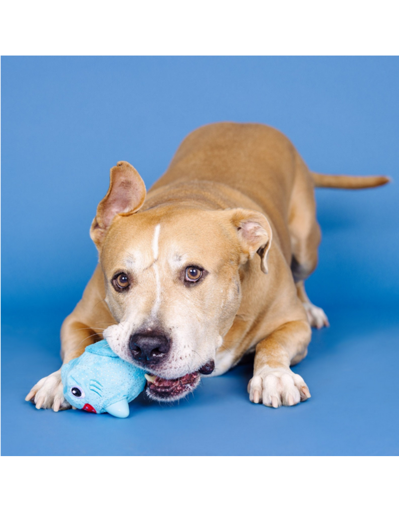 Pet Shop Pet Shop Fringe Studio Rubber Dog Toy | Dura Club "Out of the Blue" Shark Hidden Squeaker