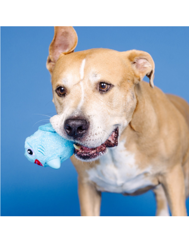Pet Shop Pet Shop Fringe Studio Rubber Dog Toy | Dura Club "Out of the Blue" Shark Hidden Squeaker