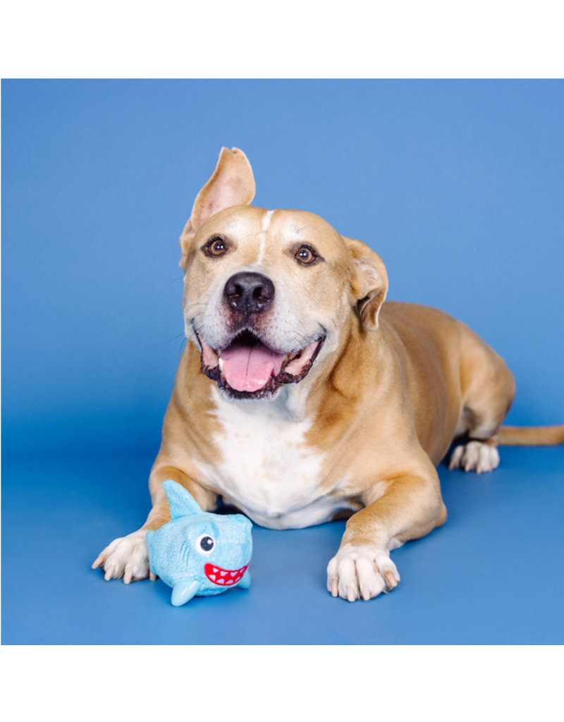 Pet Shop Pet Shop Fringe Studio Rubber Dog Toy | Dura Club "Out of the Blue" Shark Hidden Squeaker