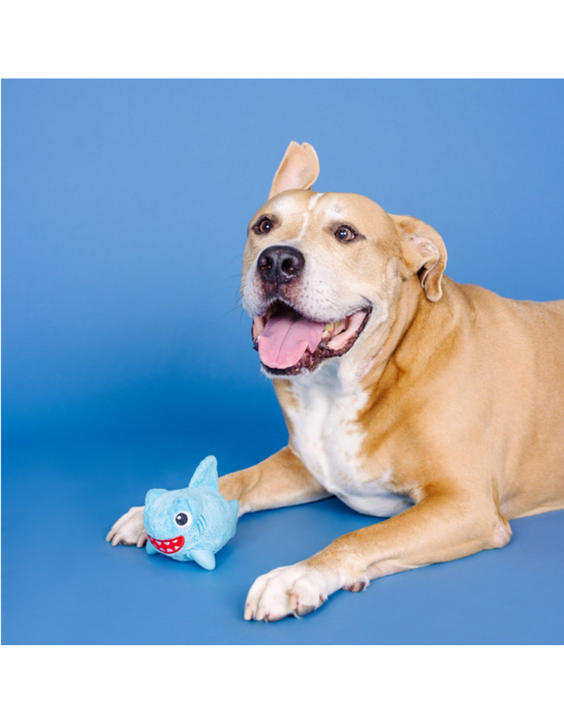 Pet Shop Pet Shop Fringe Studio Rubber Dog Toy | Dura Club "Out of the Blue" Shark Hidden Squeaker