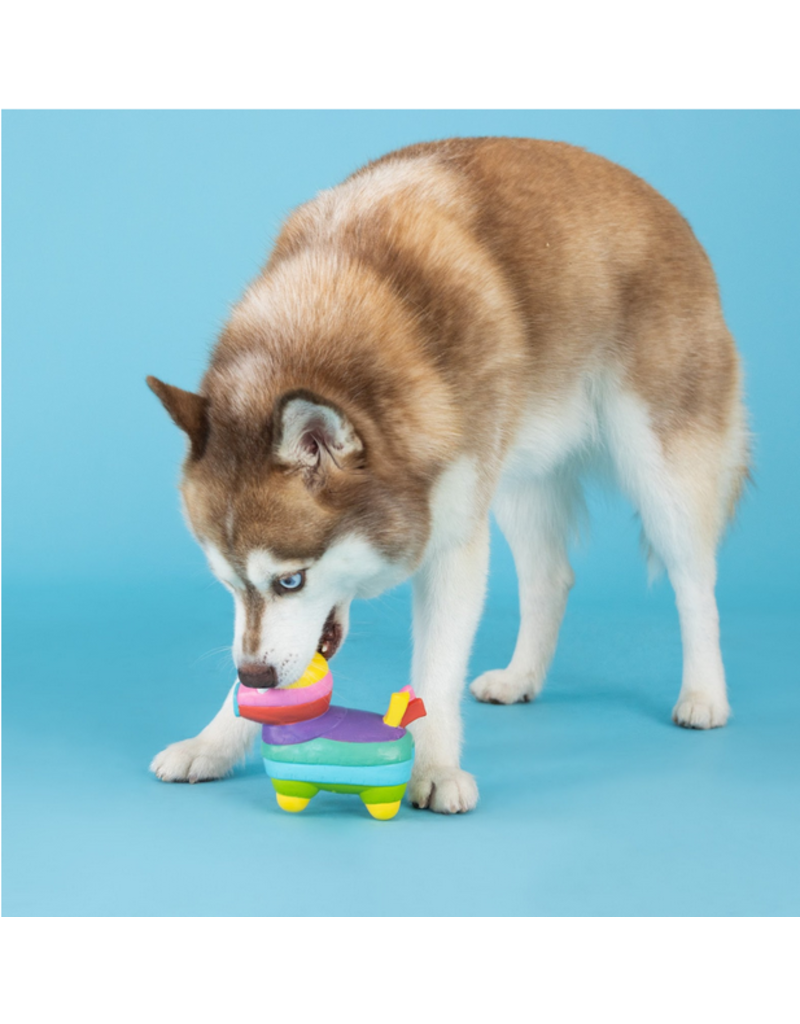 Pet Shop Pet Shop Fringe Studio Latex Dog Toy | Life's a Paw-ty Pinata