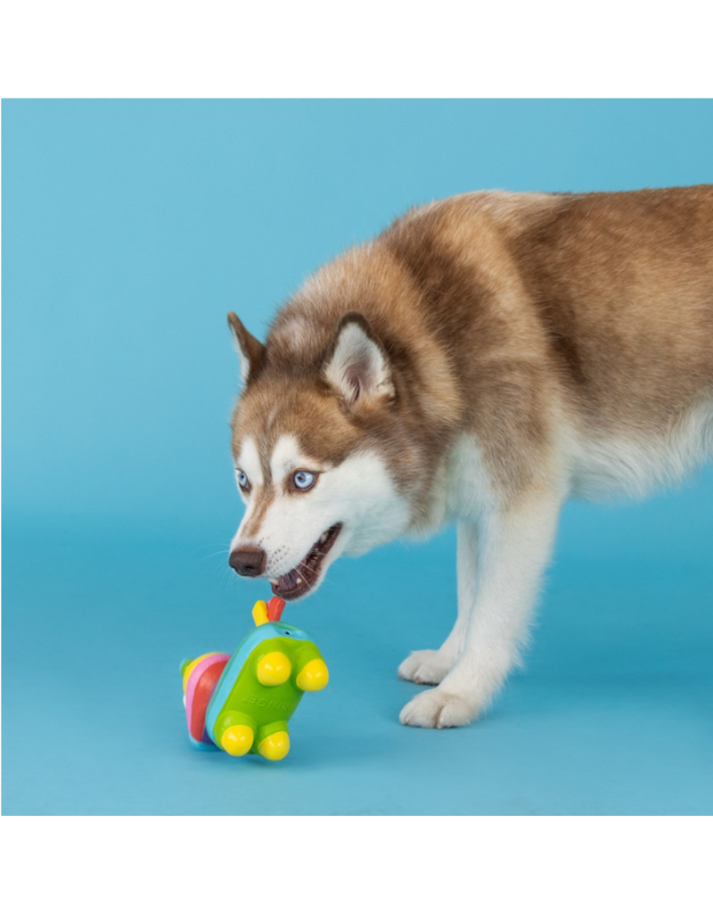 Pet Shop Pet Shop Fringe Studio Latex Dog Toy | Life's a Paw-ty Pinata