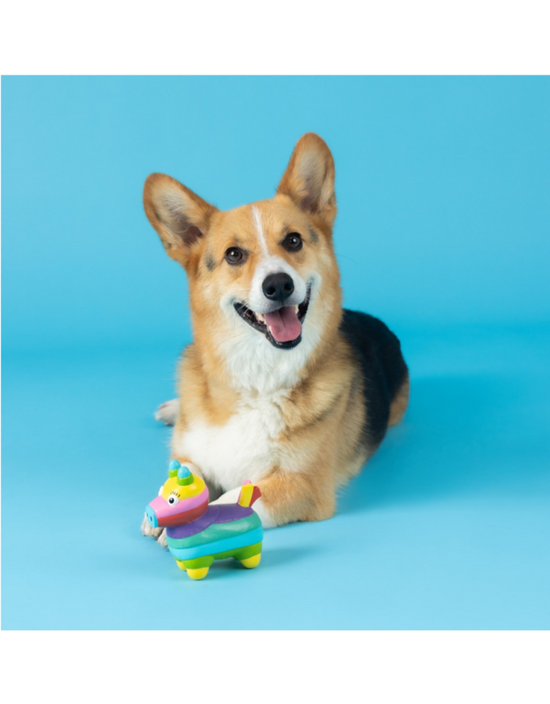Pet Shop Pet Shop Fringe Studio Latex Dog Toy | Life's a Paw-ty Pinata