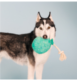 Pet Shop Pet Shop Fringe Studio Plush Dog Toy | You Pawty Time Balloon