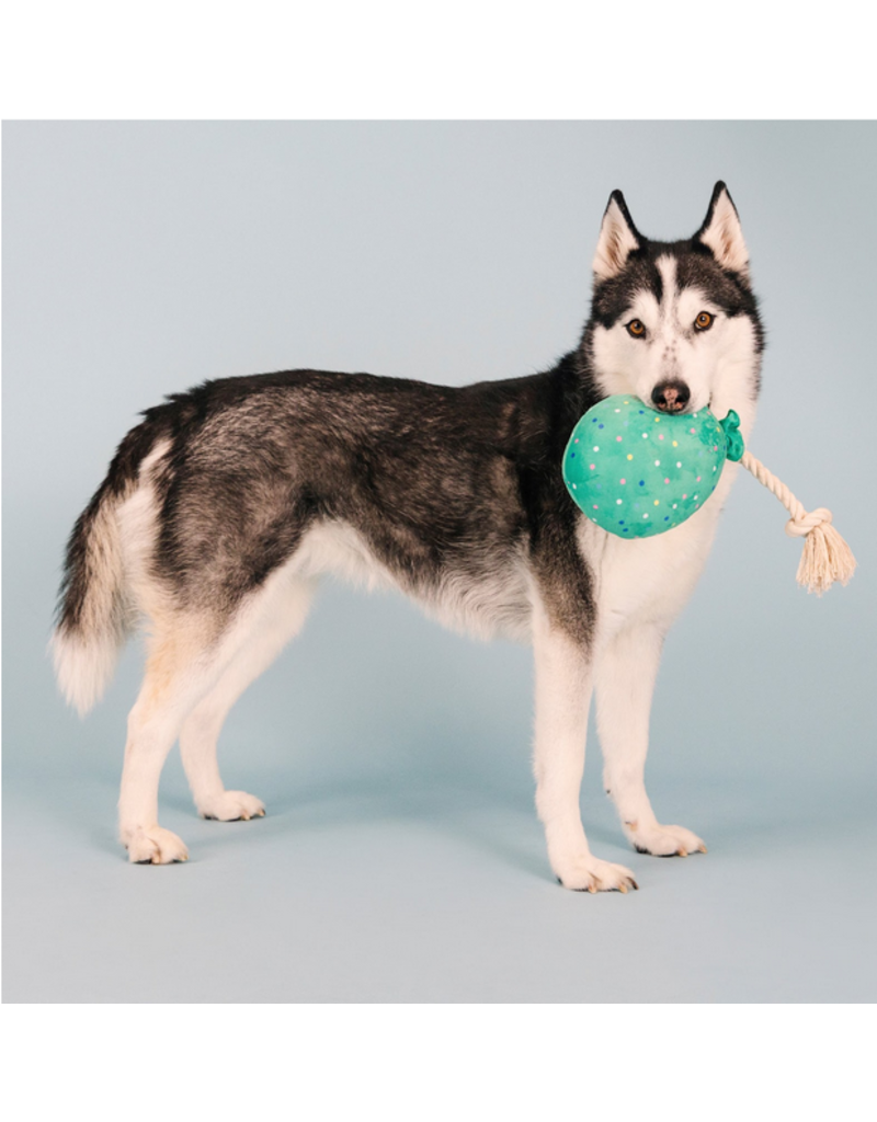 Pet Shop Pet Shop Fringe Studio Plush Dog Toy | You Pawty Time Balloon