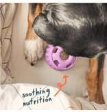 Woof Woof Pupsicle | Pops Calming Vitamin Refill Large